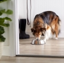 Stainless Steel Dog Bowl, Single
