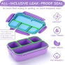 Bento Lunch Box with 4 Compartments
