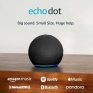 Amazon Echo Dot (newest model)